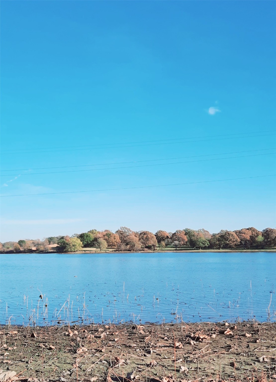 Lot 3 Rs County Road 3328, Emory, TX, 75440 | 20024296 | Realty Texas LLC
