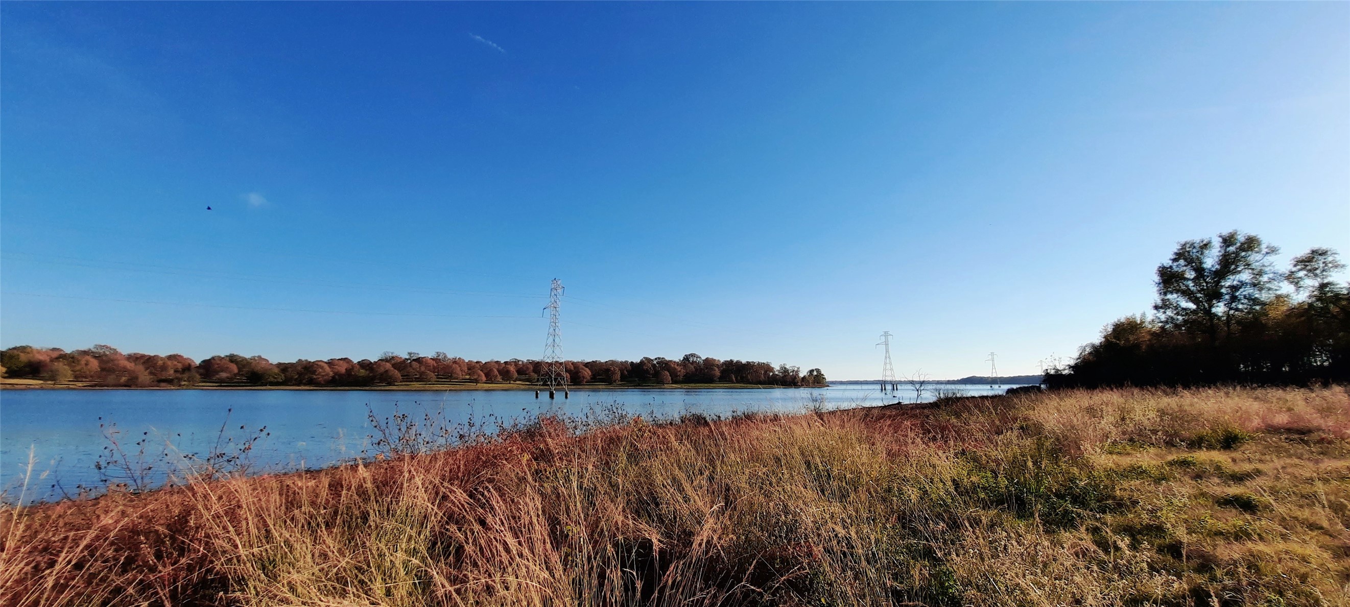 Lot 3 Rs County Road 3328, Emory, TX, 75440 | 20024296 | Realty Texas LLC