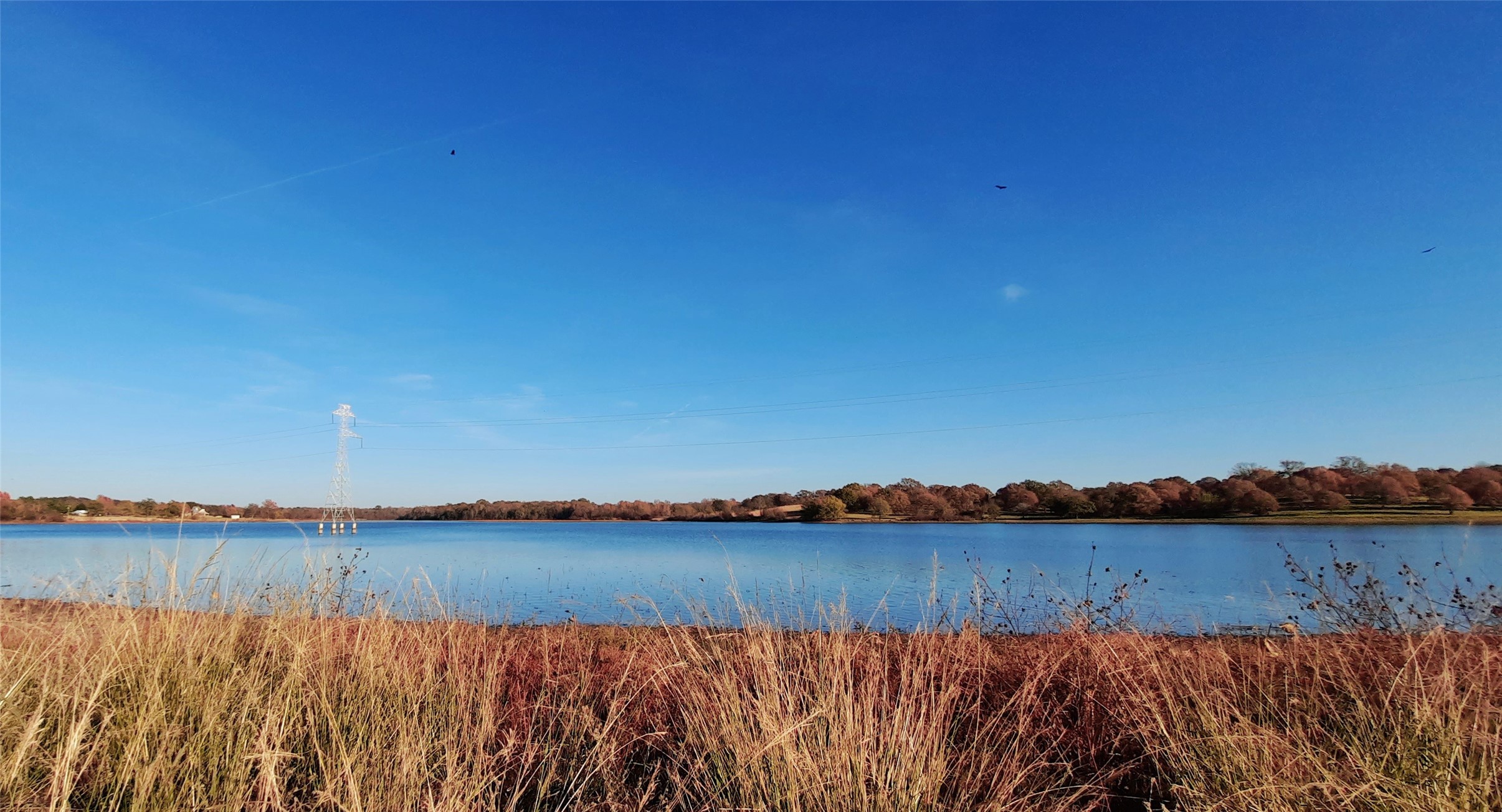 Lot 3 Rs County Road 3328, Emory, TX, 75440 | 20024296 | Realty Texas LLC