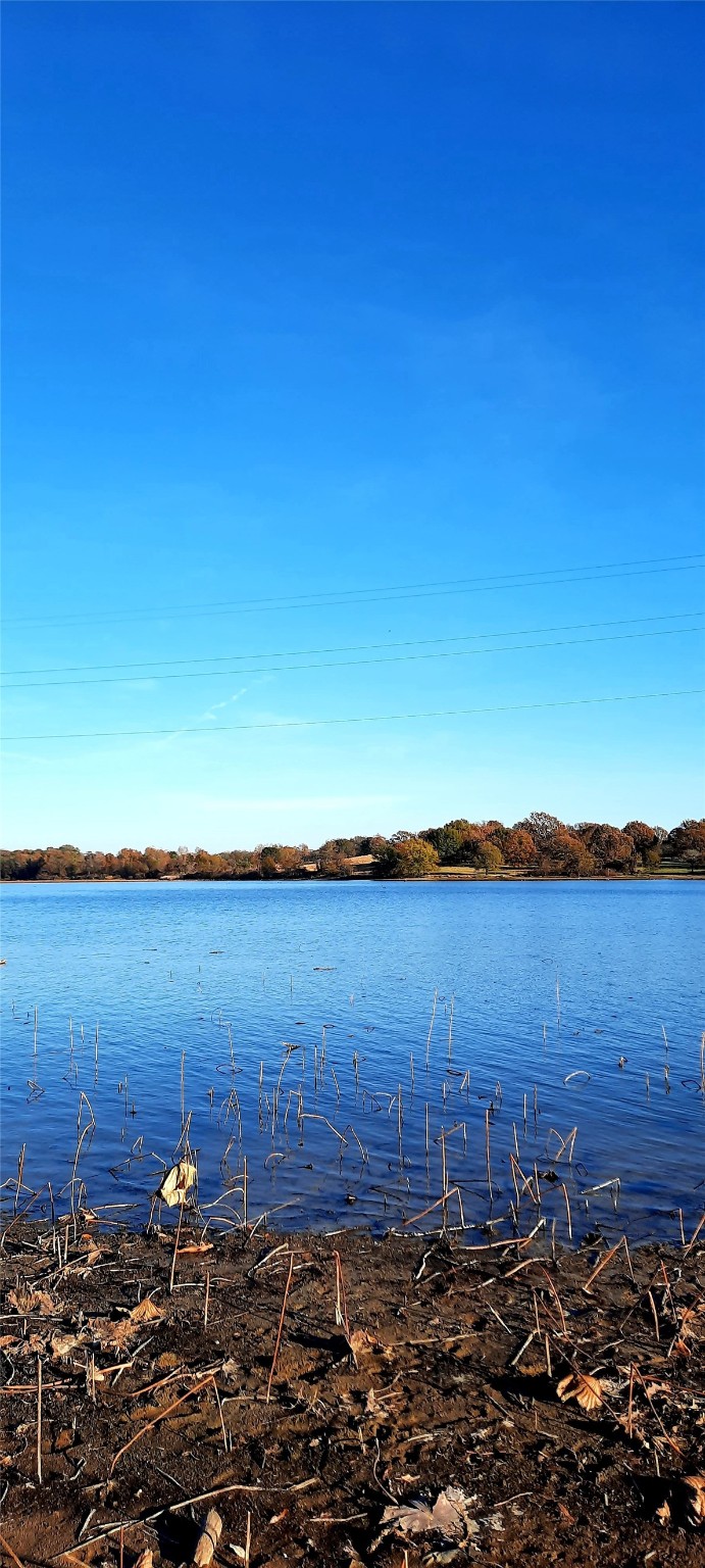 Lot 3 Rs County Road 3328, Emory, TX, 75440 | 20024296 | Realty Texas LLC