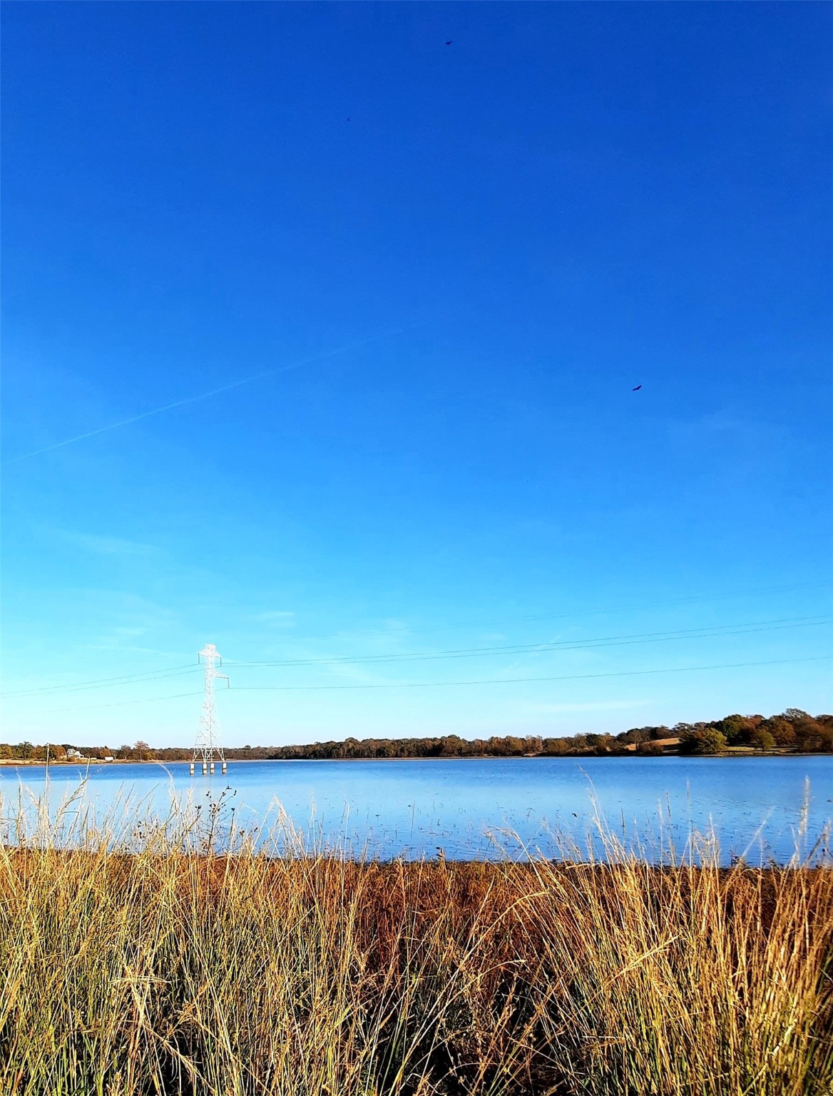 Lot 3 Rs County Road 3328, Emory, TX, 75440 | 20024296 | Realty Texas LLC