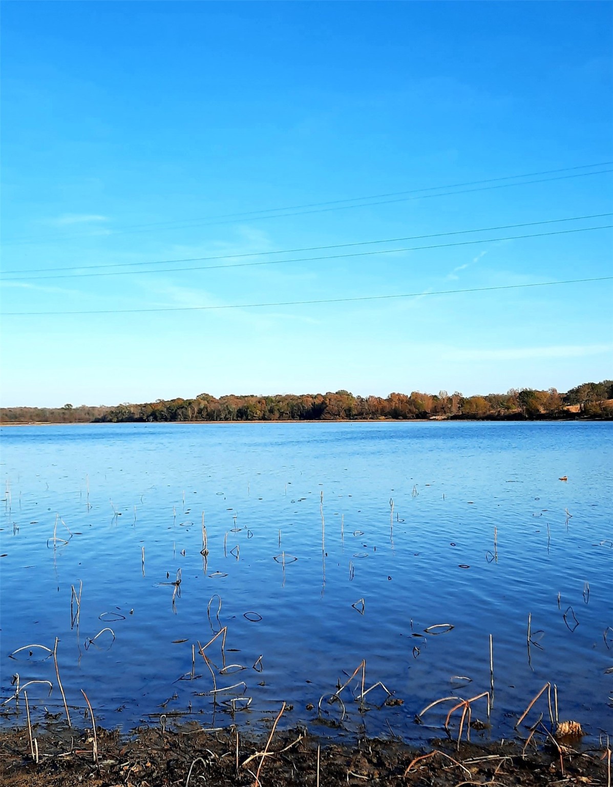 Lot 3 Rs County Road 3328, Emory, TX, 75440 | 20024296 | Realty Texas LLC