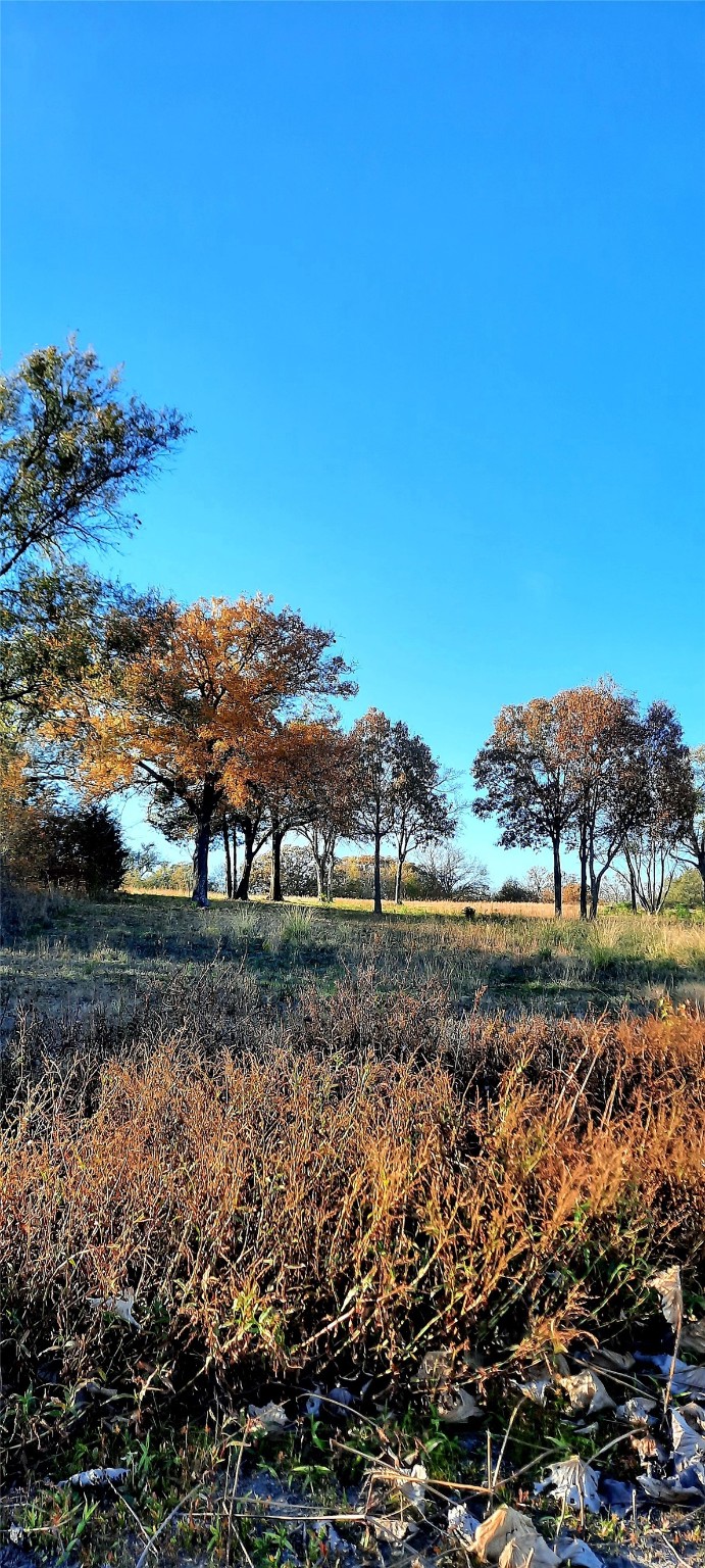 Lot 3 Rs County Road 3328, Emory, TX, 75440 | 20024296 | Realty Texas LLC