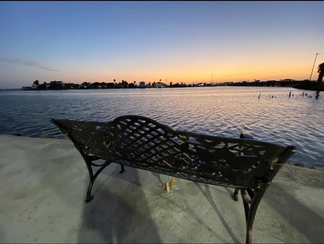 3391 Hwy 6 Drive, Hitchcock, TX, 77563 | 17148231 | Realty Texas LLC