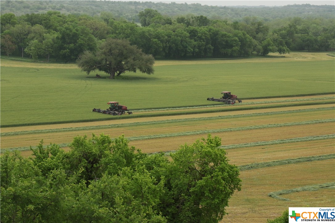 TBD CR 101 , Hamilton, TX, 76531 | 467929 | Realty Texas LLC