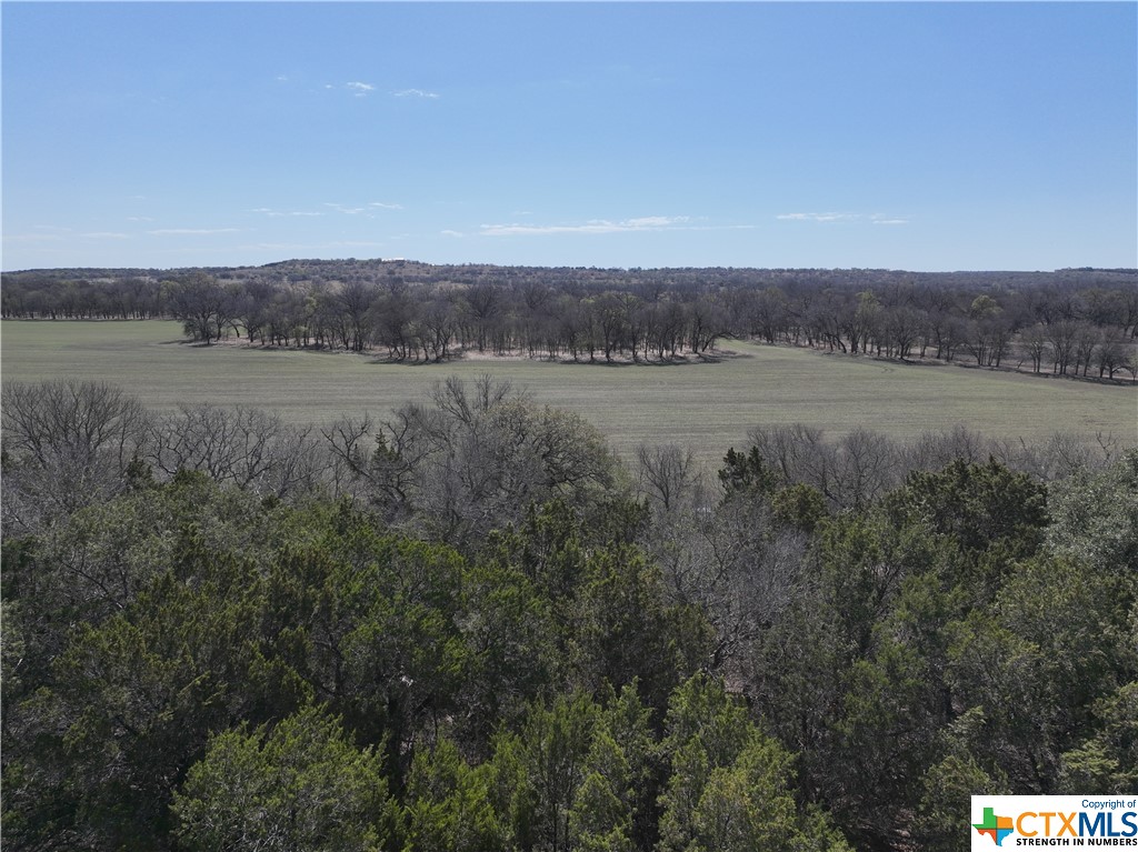TBD CR 101 , Hamilton, TX, 76531 | 467929 | Realty Texas LLC