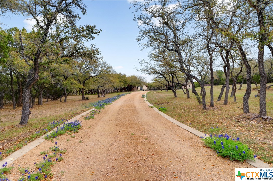495 Valley Ridge Road , Wimberley, TX, 78676 | 467926 | Realty Texas LLC
