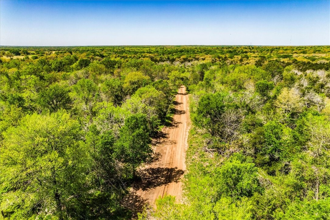 497 Mount Pleasant RD A, Cedar Creek, TX, 78612 | 8835715 | Realty Texas LLC