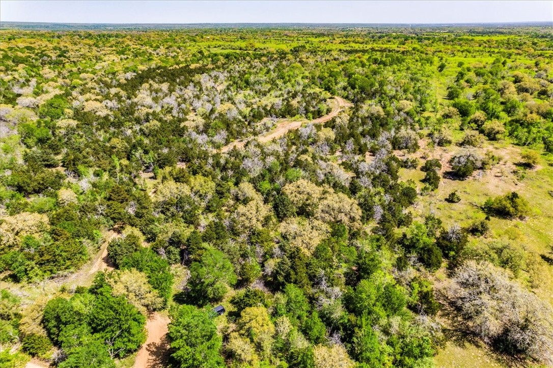 497 Mount Pleasant RD A, Cedar Creek, TX, 78612 | 8957068 | Realty Texas LLC