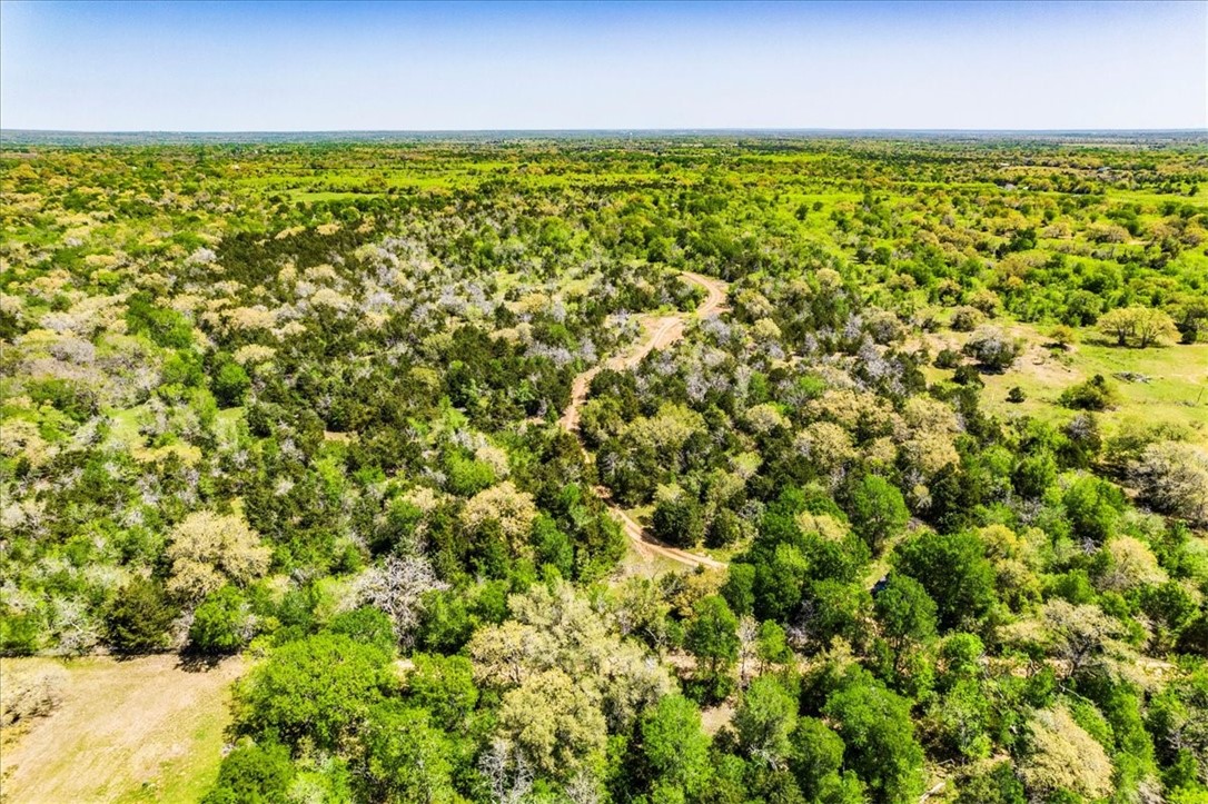 497 Mount Pleasant RD A, Cedar Creek, TX, 78612 | 8957068 | Realty Texas LLC