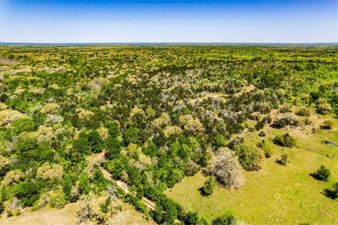 497 Mount Pleasant RD A, Cedar Creek, TX, 78612 | 8957068 | Realty Texas LLC