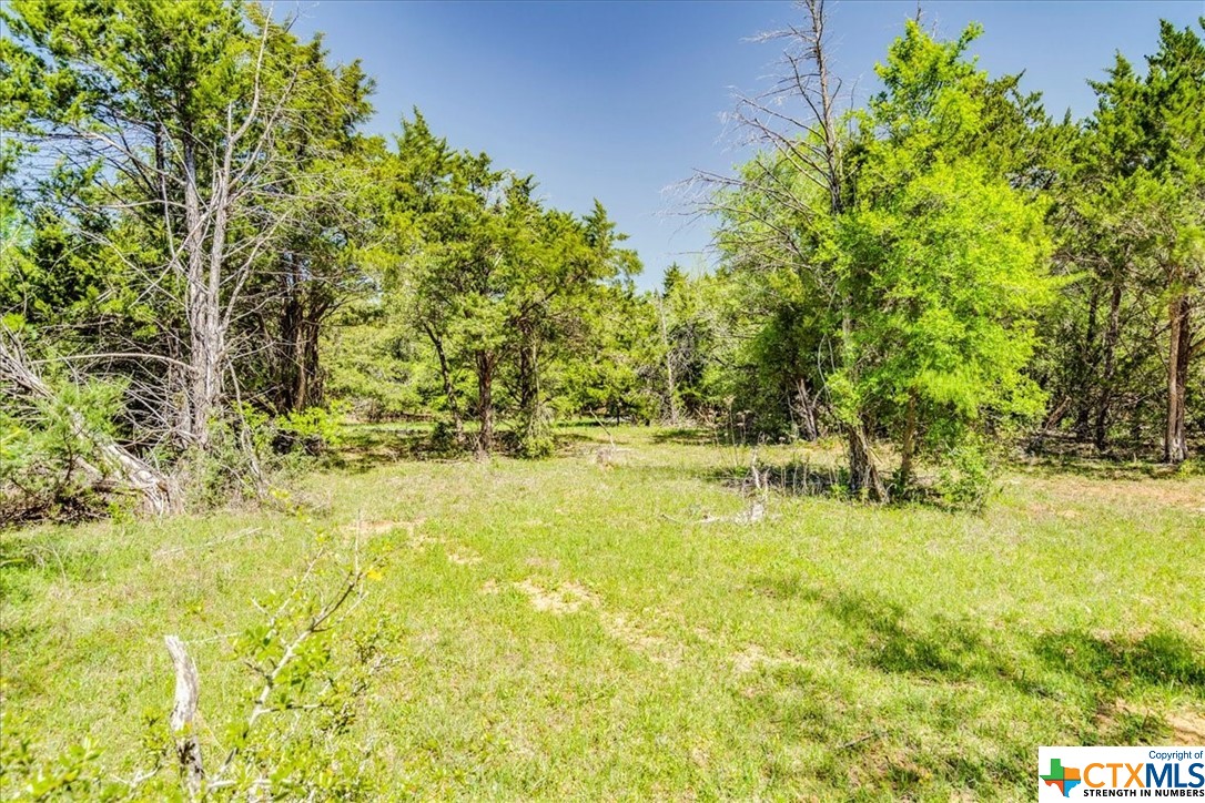 497 Mount Pleasant Road A , Cedar Creek, TX, 78612 | 468076 | Realty Texas LLC