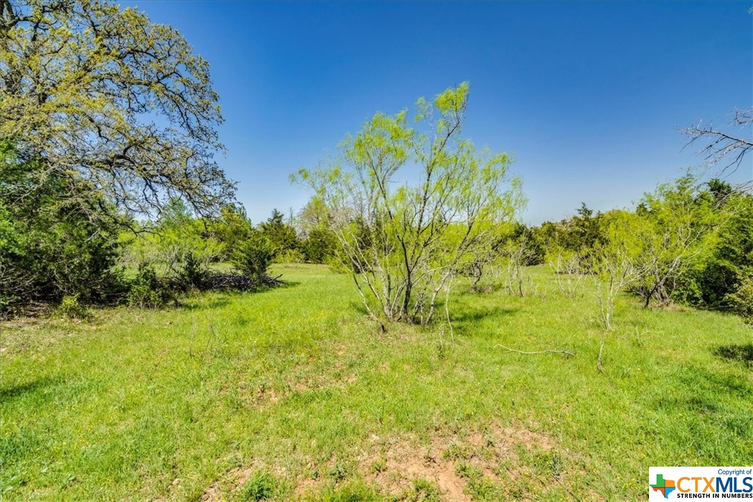 497 Mount Pleasant Road A , Cedar Creek, TX, 78612 | 468076 | Realty Texas LLC