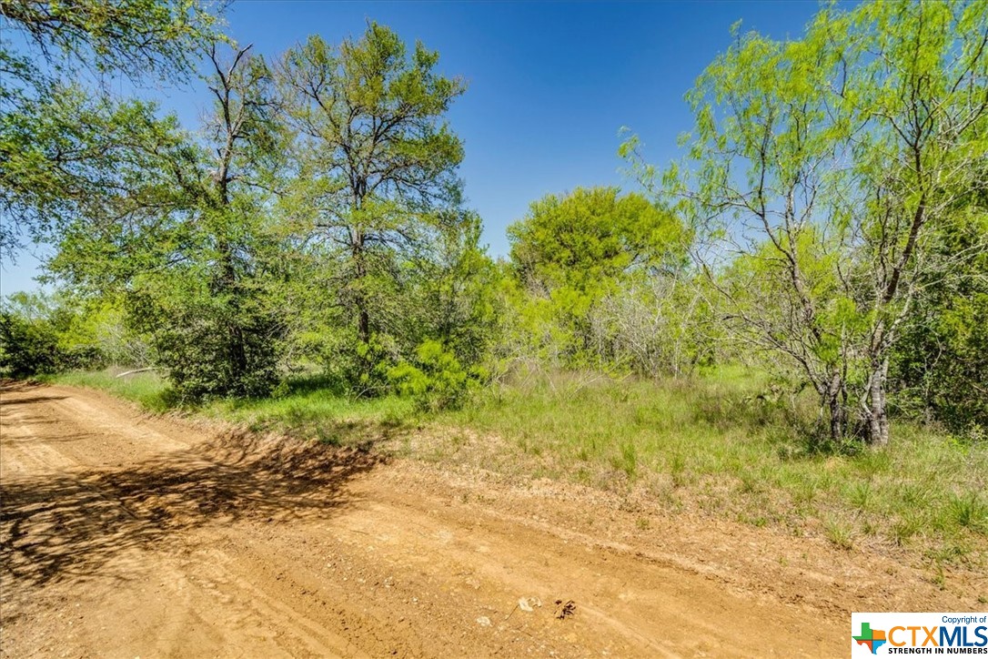 497 Mount Pleasant Road A , Cedar Creek, TX, 78612 | 468076 | Realty Texas LLC