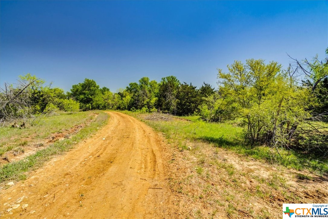 497 Mount Pleasant Road A , Cedar Creek, TX, 78612 | 468076 | Realty Texas LLC