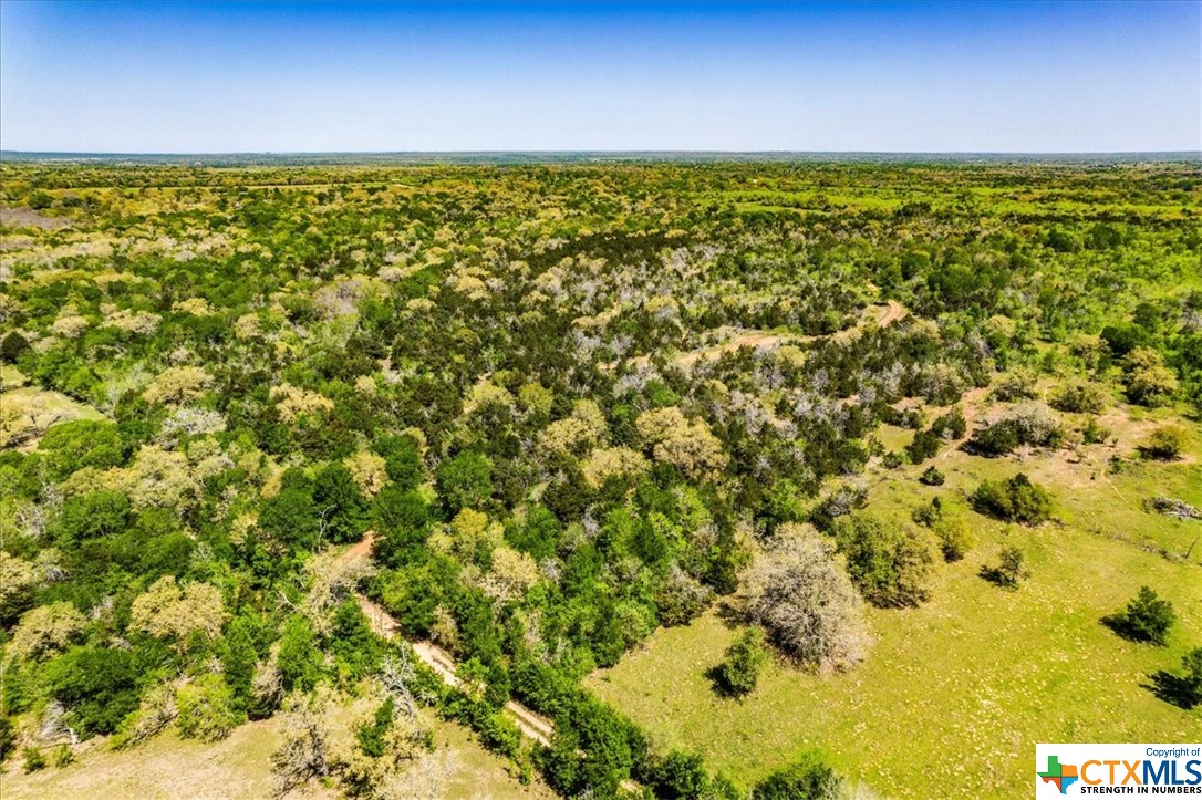 497 Mount Pleasant Road A , Cedar Creek, TX, 78612 | 467896 | Realty Texas LLC