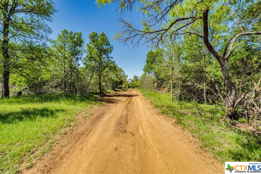 497 Mount Pleasant Road A , Cedar Creek, TX, 78612 | 467896 | Realty Texas LLC