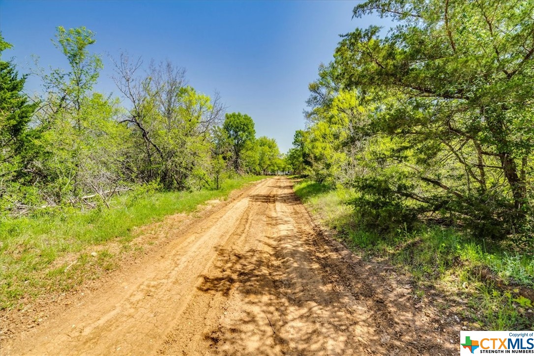 497 Mount Pleasant Road A , Cedar Creek, TX, 78612 | 467896 | Realty Texas LLC