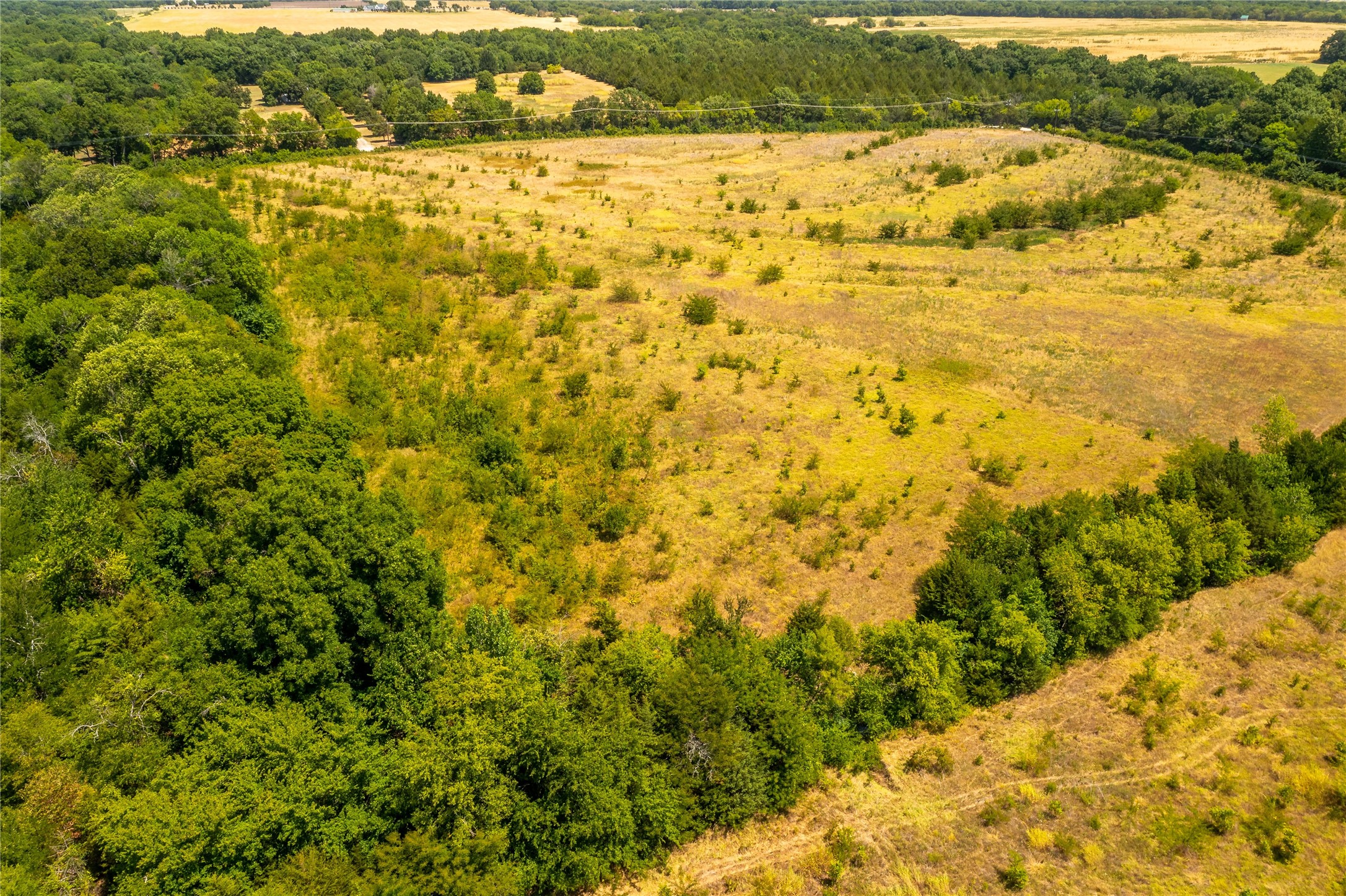 TBD 37+/- Tract 1 County Road 4526, Randolph, TX, 75475 | 20028049 | Realty Texas LLC
