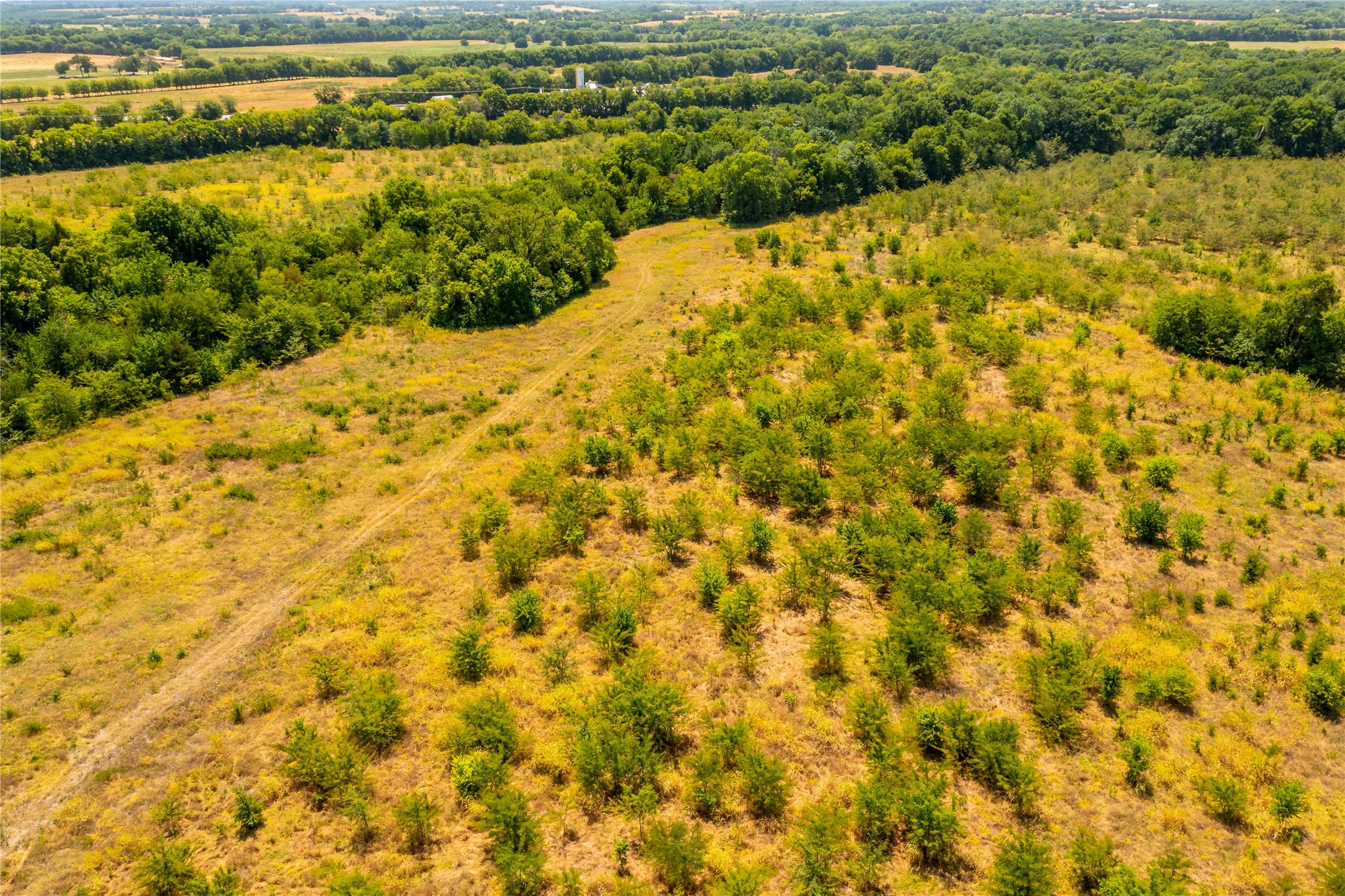 TBD 37+/- Tract 1 County Road 4526, Randolph, TX, 75475 | 20028049 | Realty Texas LLC