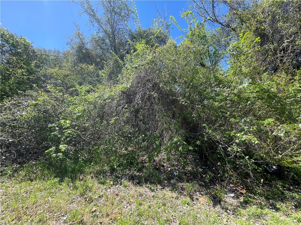 TBD 0.34750 AC Phillips Street , Waco, TX, 76704 | 207063 | Realty Texas LLC