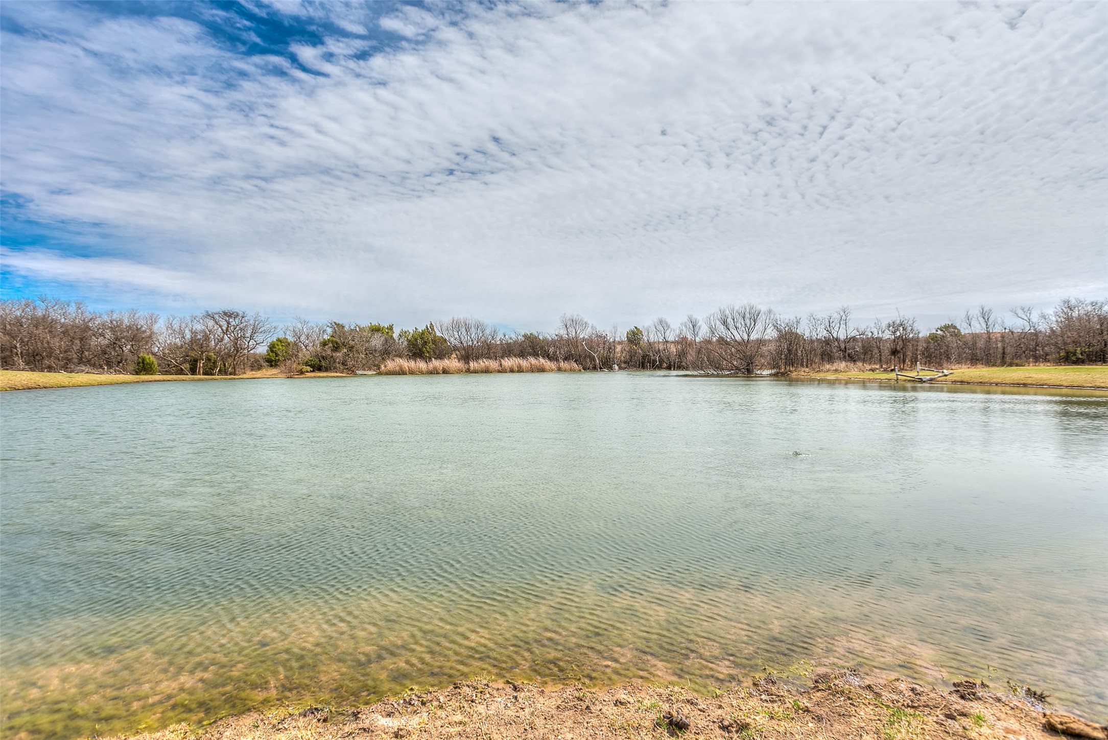 12487 CR 4102 , Hermleigh, TX, 79526 | 20027722 | Realty Texas LLC