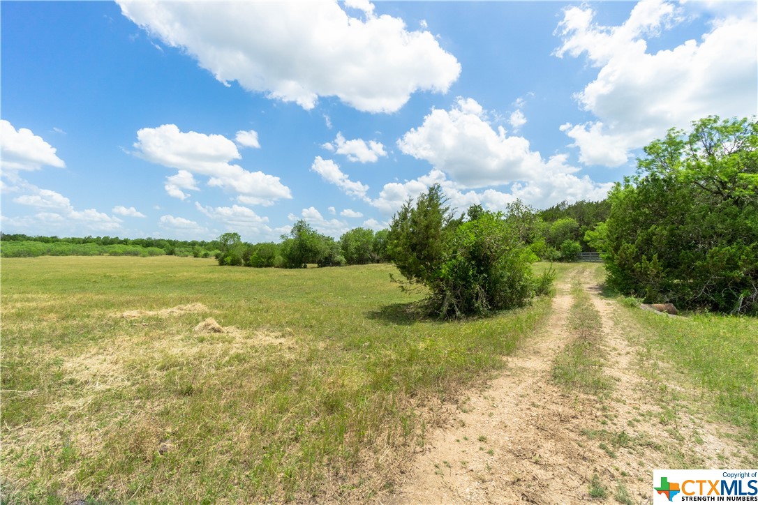 285 Abbey Road , New Braunfels, TX, 78132 | 468227 | Realty Texas LLC