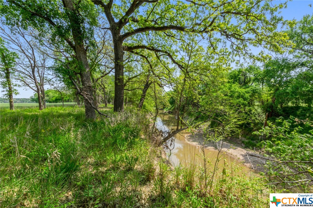 TBD CR 101 , Hamilton, TX, 76531 | 468241 | Realty Texas LLC