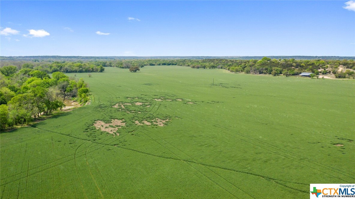 TBD CR 101 , Hamilton, TX, 76531 | 468241 | Realty Texas LLC