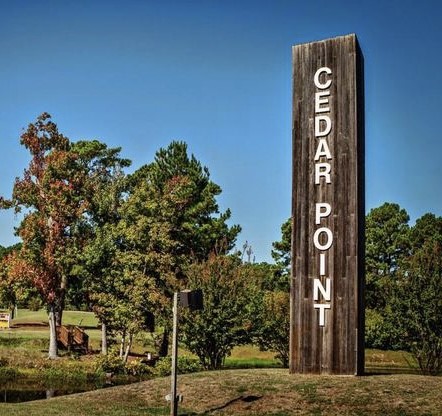 125 Acorn, Livingston, TX, 77351 | 33538250 | Realty Texas LLC