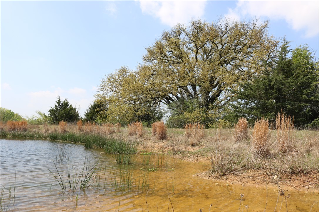 264 Lcr 822 Road , Groesbeck, TX, 76642 | 207173 | Realty Texas LLC