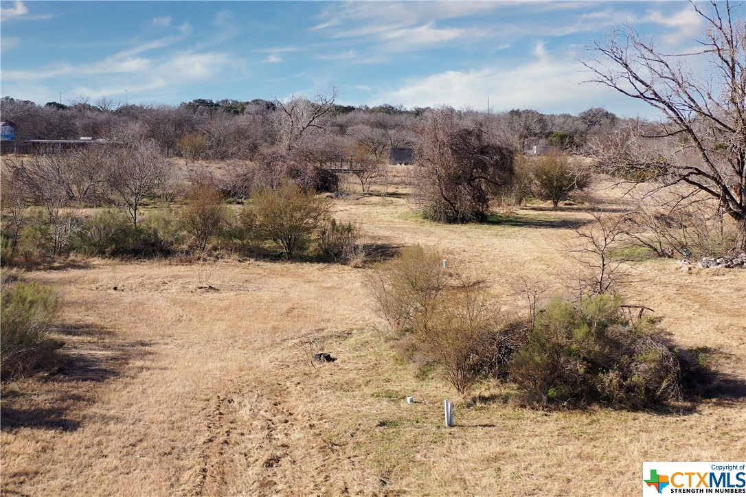 1233 Sleepy Hollow Lane , New Braunfels, TX, 78130 | 467429 | Realty Texas LLC