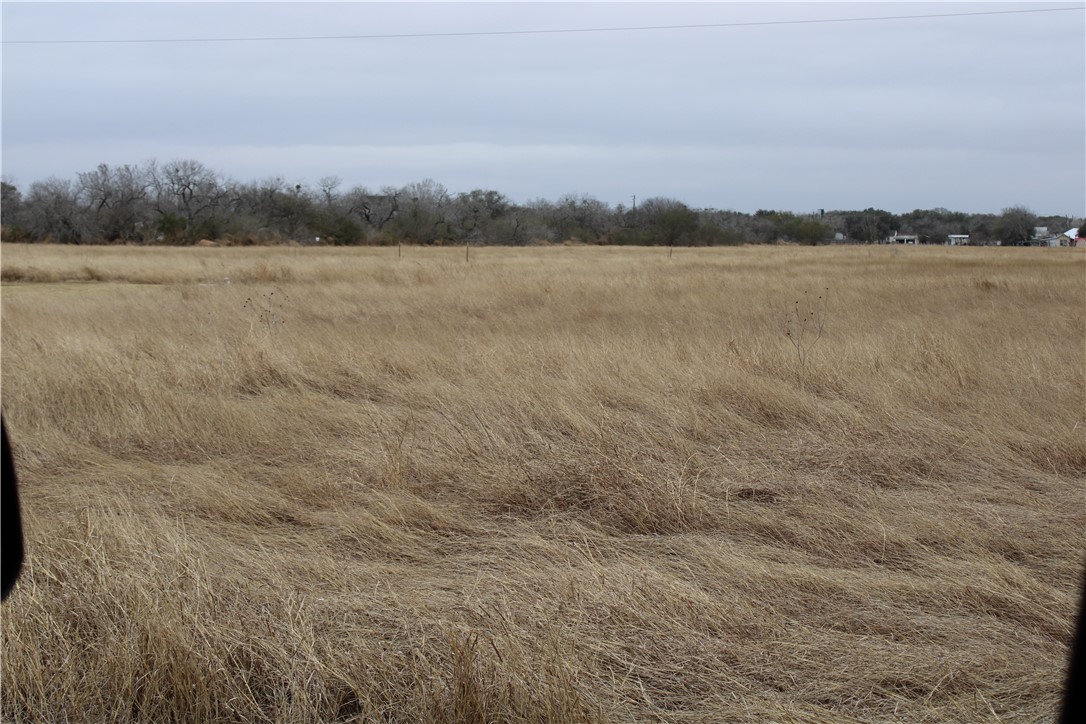 0000 Lamar, Mathis, TX, 78368 | 397056 | Realty Texas LLC