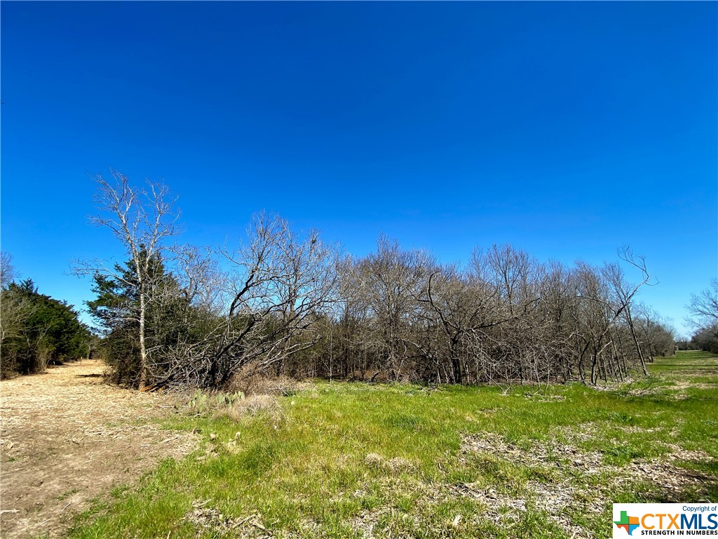 tbd tract 4 county road 1854 , Dale, TX, 78616 | 468554 | Realty Texas LLC