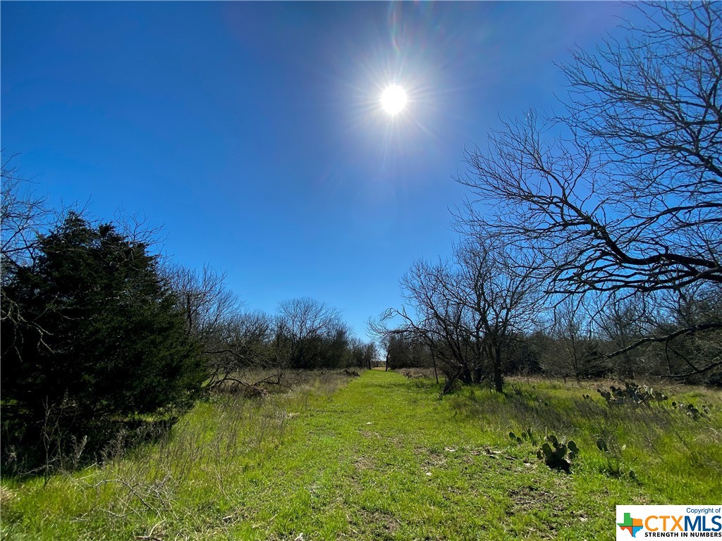 tbd tract 4 county road 1854 , Dale, TX, 78616 | 468554 | Realty Texas LLC