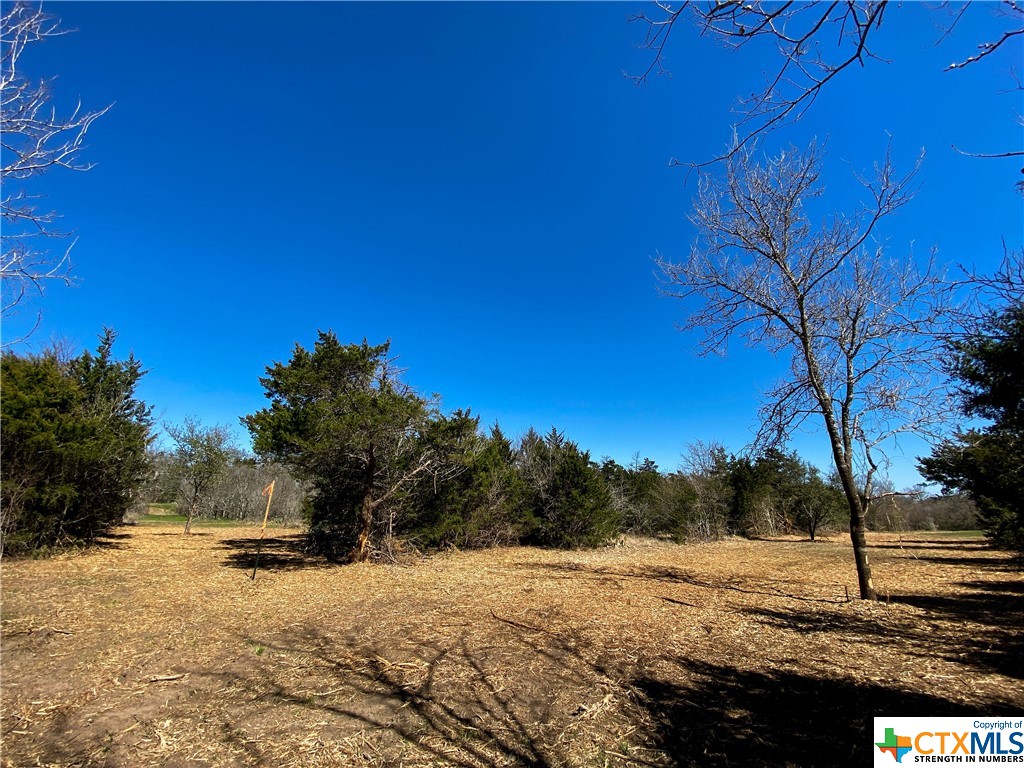 tbd tract 4 county road 1854 , Dale, TX, 78616 | 468554 | Realty Texas LLC