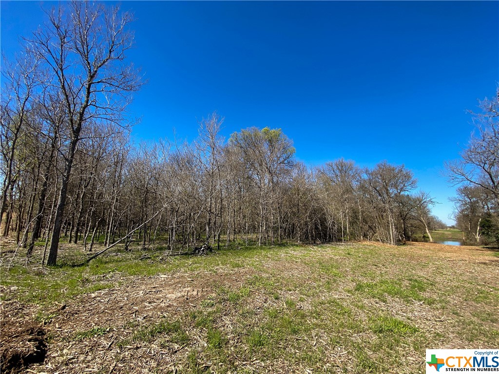 tbd tract 4 county road 1854 , Dale, TX, 78616 | 468554 | Realty Texas LLC