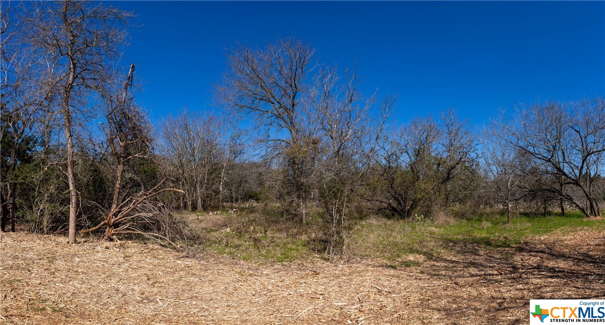 tbd tract 4 county road 1854 , Dale, TX, 78616 | 468554 | Realty Texas LLC