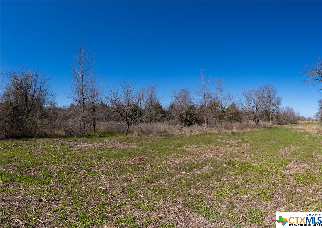 tbd tract 4 county road 1854 , Dale, TX, 78616 | 468554 | Realty Texas LLC