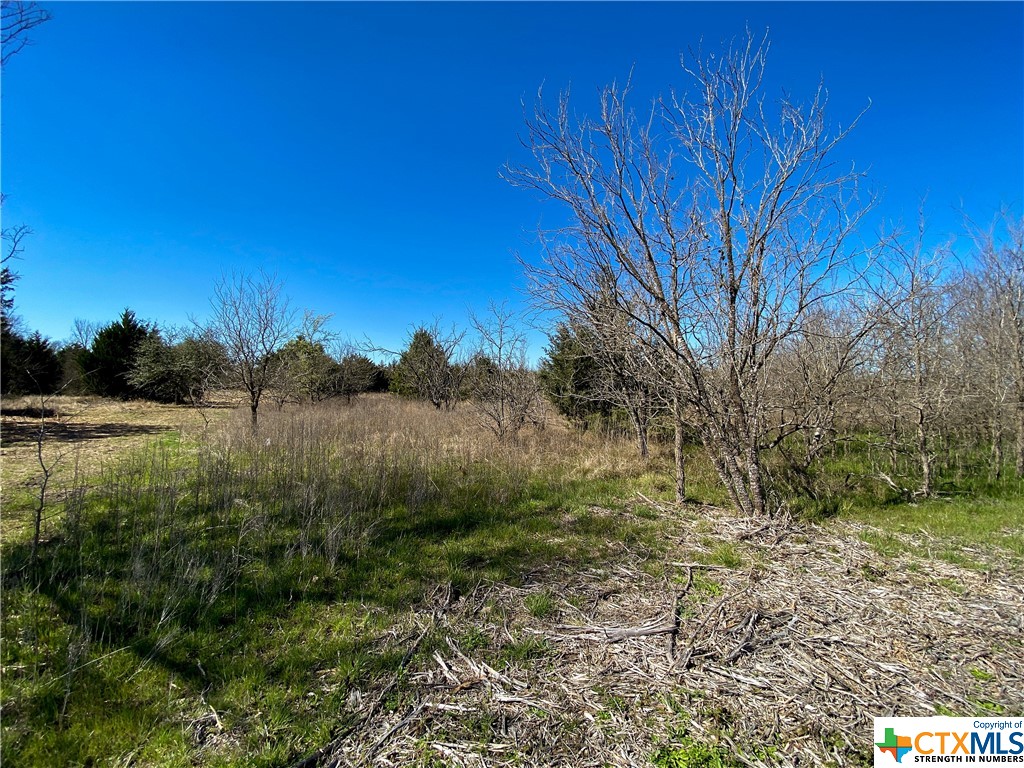 tbd tract 4 county road 1854 , Dale, TX, 78616 | 468554 | Realty Texas LLC