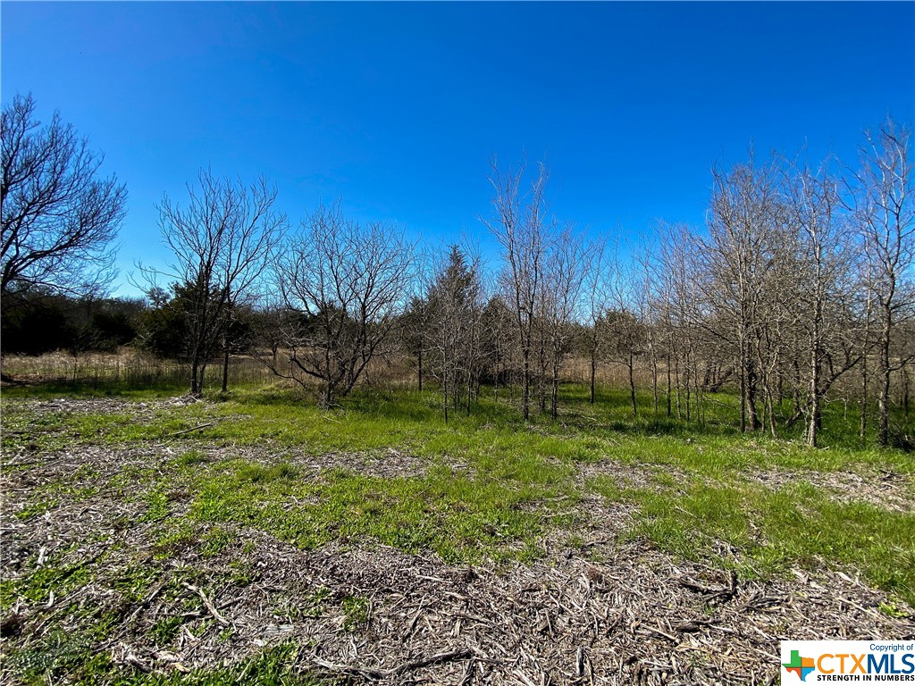 tbd tract 4 county road 1854 , Dale, TX, 78616 | 468554 | Realty Texas LLC