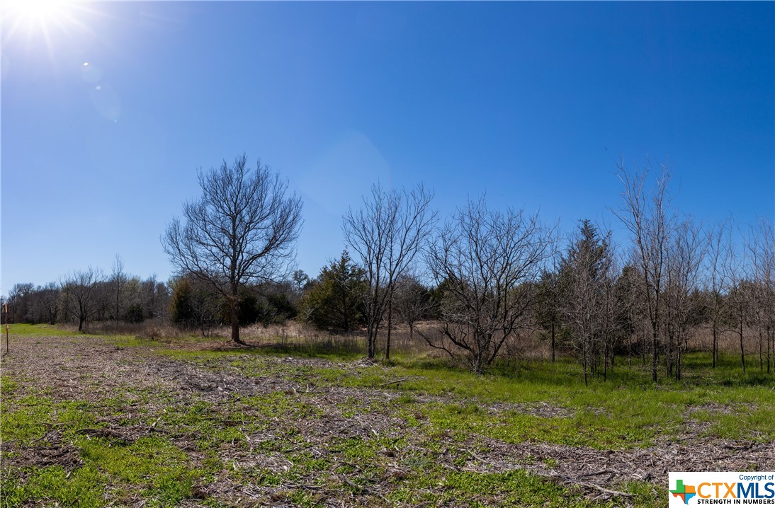 tbd tract 4 county road 1854 , Dale, TX, 78616 | 468554 | Realty Texas LLC