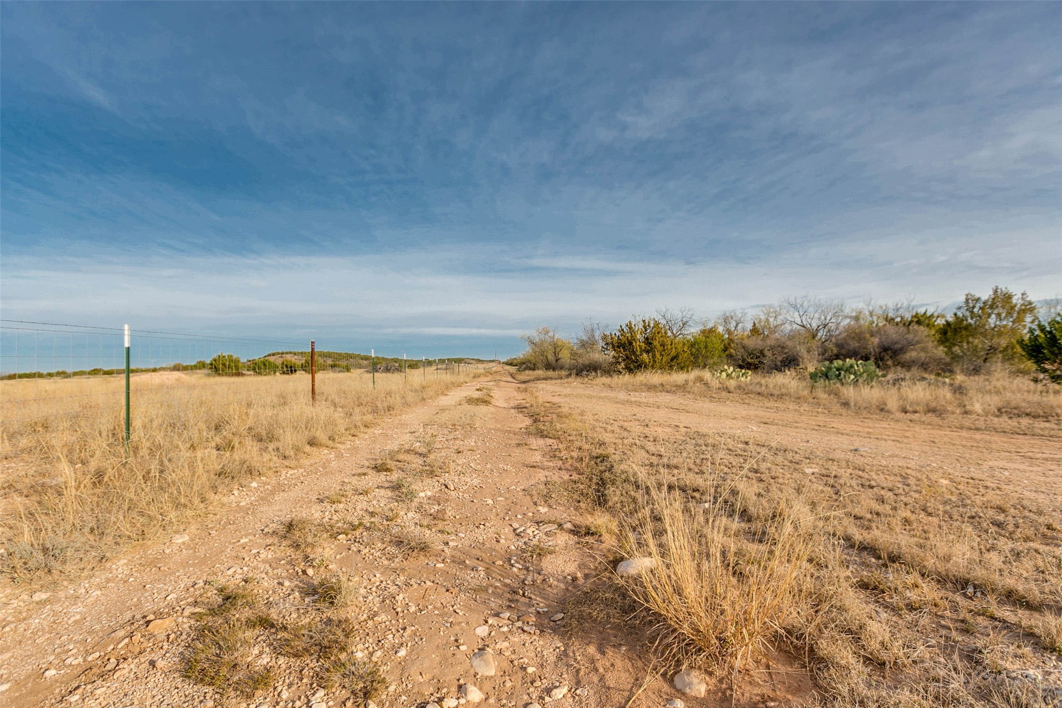 NA COX RD , Robert Lee, TX, 76945 | 20031639 | Realty Texas LLC