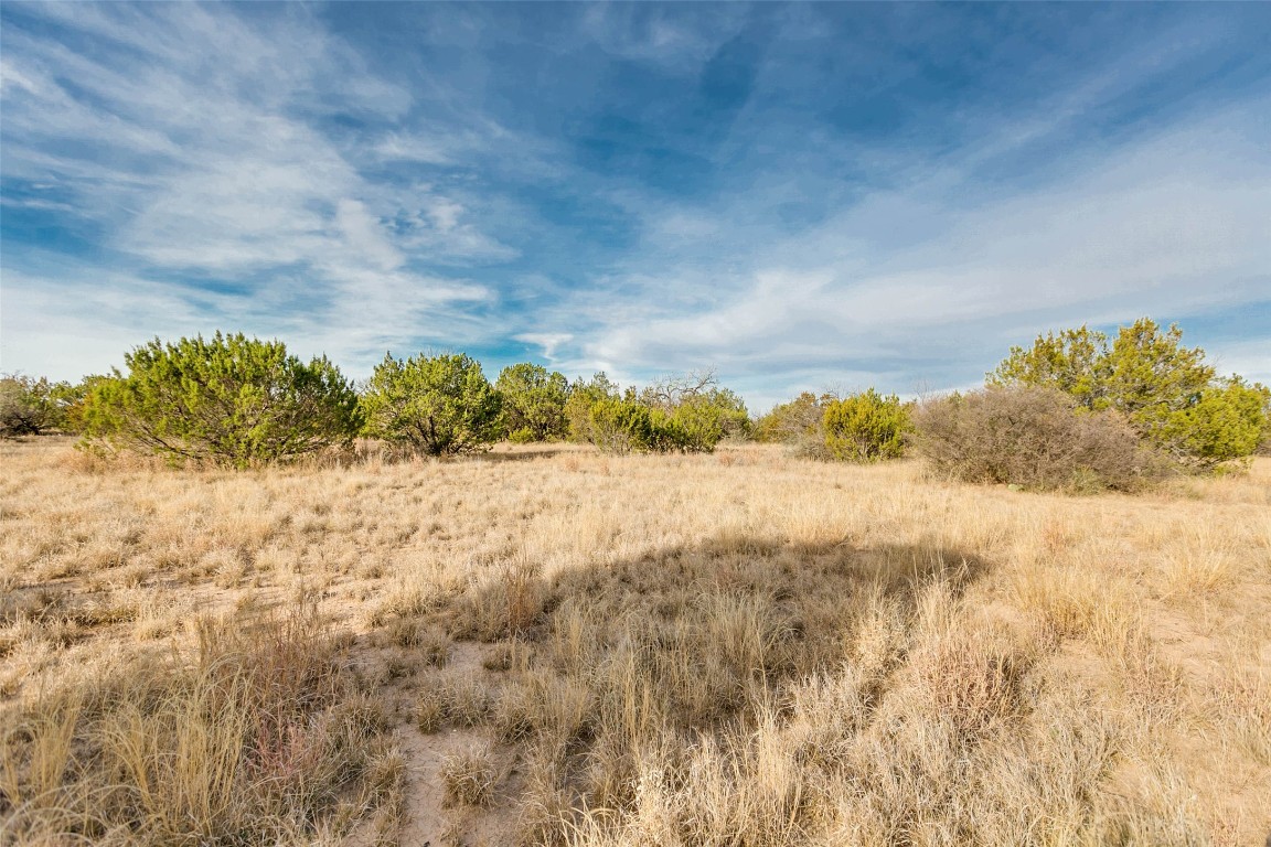 NA COX RD , Robert Lee, TX, 76945 | 20031639 | Realty Texas LLC