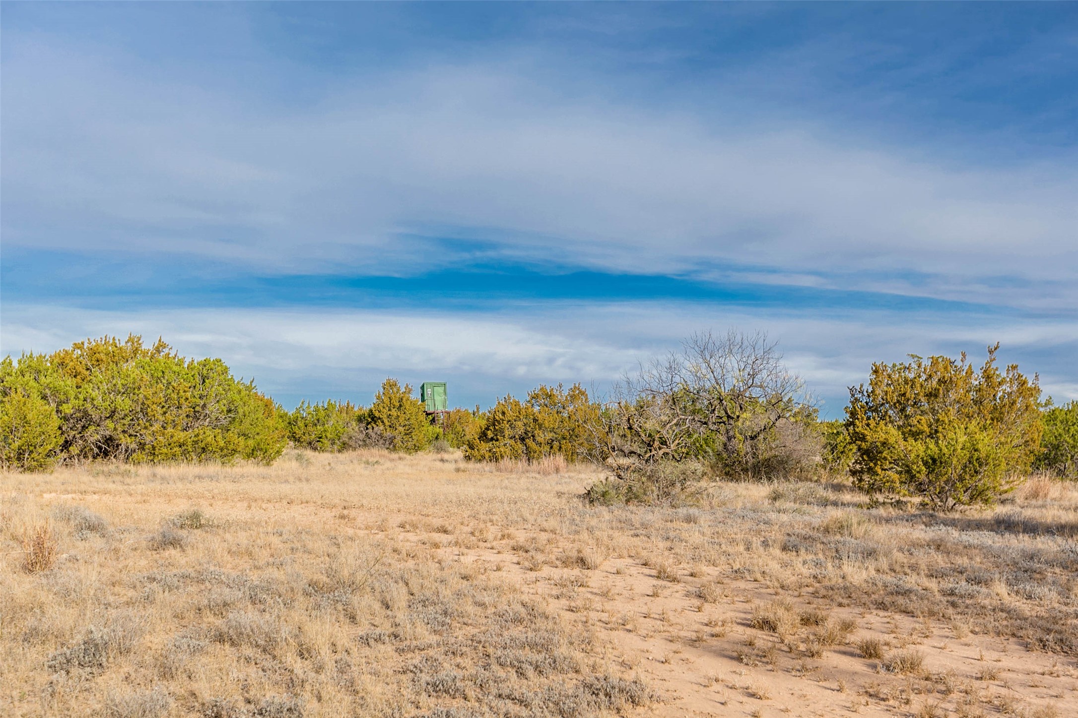 NA COX RD , Robert Lee, TX, 76945 | 20031639 | Realty Texas LLC