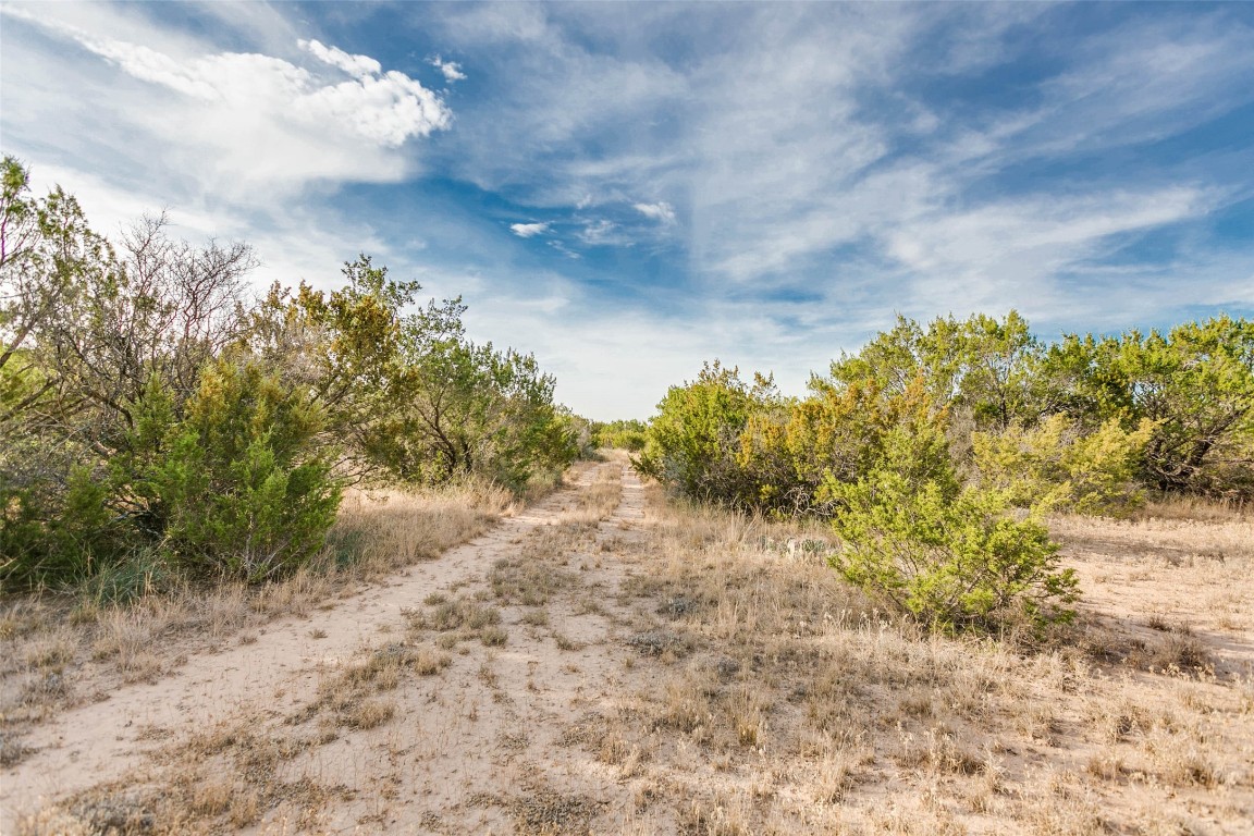 NA COX RD , Robert Lee, TX, 76945 | 20031639 | Realty Texas LLC