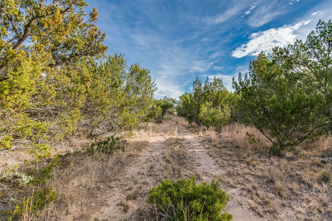 NA COX RD , Robert Lee, TX, 76945 | 20031639 | Realty Texas LLC