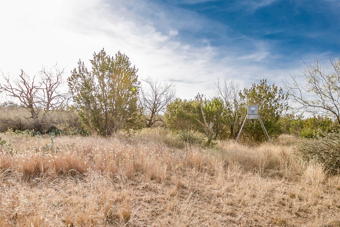 NA COX RD , Robert Lee, TX, 76945 | 20031639 | Realty Texas LLC