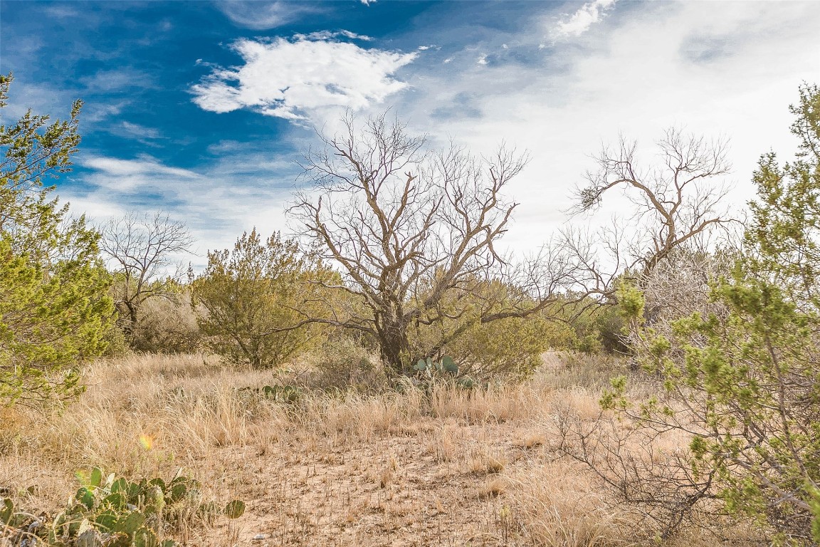 NA COX RD , Robert Lee, TX, 76945 | 20031639 | Realty Texas LLC