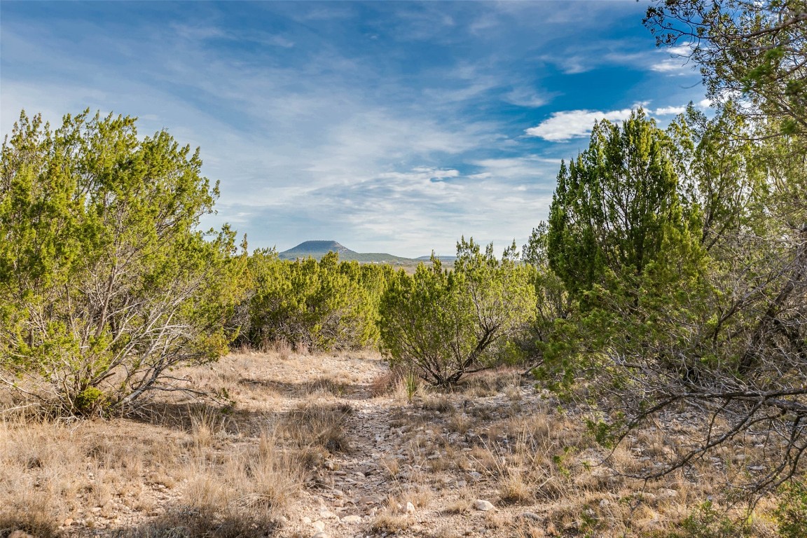 NA COX RD , Robert Lee, TX, 76945 | 20031639 | Realty Texas LLC